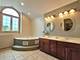 20309 S Hunter, Frankfort, IL 60423