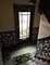 4437 N Whipple, Chicago, IL 60625