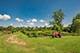 27490 W Wilmot, Antioch, IL 60002