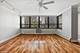 33 E Cedar Unit 6D, Chicago, IL 60611