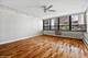 33 E Cedar Unit 6D, Chicago, IL 60611