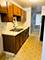 425 Walnut Creek Unit 1103, Lisle, IL 60532