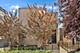 2015 W Shakespeare, Chicago, IL 60647