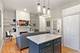 1532 N Paulina Unit M, Chicago, IL 60622