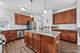 326 Longview, Elgin, IL 60124