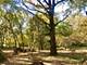 ## N Il 23, Marengo, IL 60152