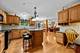 1133 Buckingham, Carol Stream, IL 60188