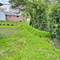 137 Julie, Glenview, IL 60025
