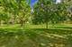 1170 Downing, Hoffman Estates, IL 60192