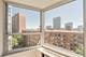 720 W Gordon Unit 10N, Chicago, IL 60613