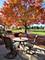 21144 W Buckeye, Plainfield, IL 60544