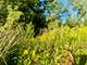 27470 W Northwest, Barrington, IL 60010