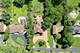 9821 Elm, Des Plaines, IL 60016