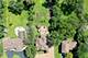9821 Elm, Des Plaines, IL 60016