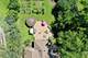 9821 Elm, Des Plaines, IL 60016