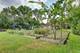 9821 Elm, Des Plaines, IL 60016