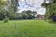 9821 Elm, Des Plaines, IL 60016