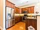 4141 N Kedzie Unit 206, Chicago, IL 60618