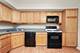 7314 Randolph Unit 4G, Forest Park, IL 60130