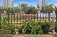 411 W Ontario Unit 221, Chicago, IL 60654