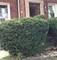 9716 S Genoa, Chicago, IL 60643