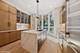 414 E North Water, Chicago, IL 60611