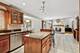 13916 Christina, Homer Glen, IL 60491