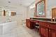 13916 Christina, Homer Glen, IL 60491