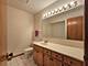 10634 Lynn Unit 9, Orland Park, IL 60467