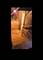 3925 W Gladys, Chicago, IL 60624