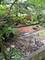 6801 N Wolcott, Chicago, IL 60626