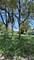 10814 Wellington, Melrose Park, IL 60164