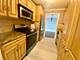 195 N Harbor Unit 5309, Chicago, IL 60601