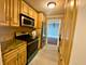 195 N Harbor Unit 5309, Chicago, IL 60601