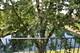 2457 Spring Unit 3605, Woodridge, IL 60517