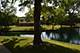 2457 Spring Unit 3605, Woodridge, IL 60517