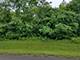 LOT 8 Orchard Bluff, Wadsworth, IL 60083
