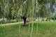1500 Kempton, Joliet, IL 60431