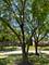 1514 Forever, Libertyville, IL 60048