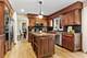 1260 Andrus, Downers Grove, IL 60516