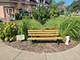 210 Valley, Roselle, IL 60172
