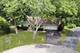 19 Hawley, Grayslake, IL 60030