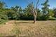 650 E Van Buren, Villa Park, IL 60181