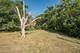 650 E Van Buren, Villa Park, IL 60181