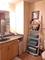 1250 S Michigan Unit 2003, Chicago, IL 60605