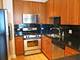 1250 S Michigan Unit 2003, Chicago, IL 60605