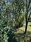 2259 N Enlund Unit 6, Palatine, IL 60074