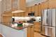468 N Clinton, Chicago, IL 60654