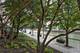 468 N Clinton, Chicago, IL 60654