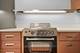 300 N State Unit 2404, Chicago, IL 60654